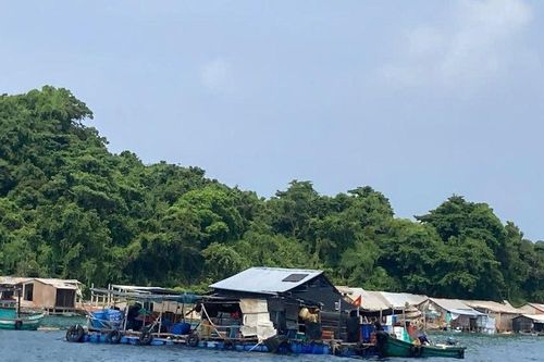Đặc khu Thổ Châu: Để nghề nuôi cá lồng bè phát triển bền vững