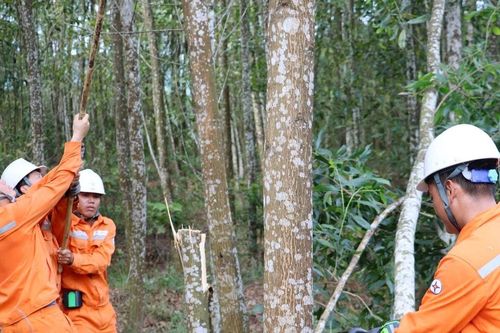 'Lá chắn' an toàn cho hệ thống điện Hà Tĩnh