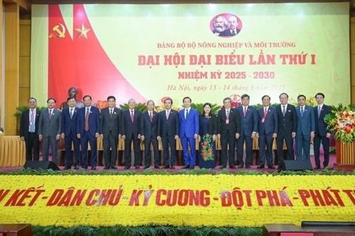 Bộ Nông nghiệp và Môi trường cần tiên phong theo hướng kinh tế nông nghiệp carbon thấp