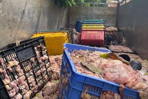 Hà Nội: Phát hiện hai tấn mỡ không rõ nguồn gốc