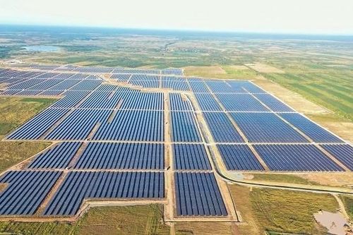 Xuân Thiện Đắk Lắk báo lãi gần 90 tỷ đồng, dư nợ trái phiếu còn hơn 4 tỷ