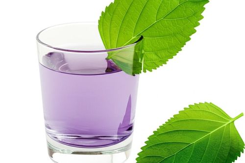 Bài thuốc từ lá tía tô: Giải cảm, trị ho, dưỡng da hiệu quả