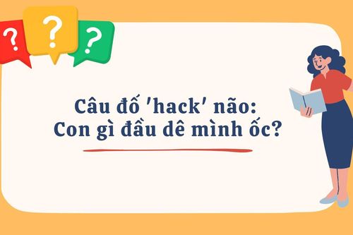 Con gì đầu dê mình ốc?