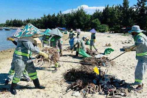 Hơn 200 người thu gom trên 15 tấn rác ở bãi biển Sa Cần