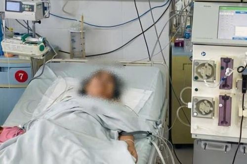 Ngừng tim, suy đa tạng vì nhiễm trùng từ vết ong đốt