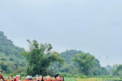 Xây dựng thương hiệu du lịch xanh mang tính toàn cầu