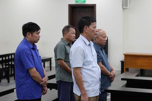 Nhóm cựu lãnh đạo xã lĩnh án tù vì xâm phạm rừng phòng hộ Sóc Sơn