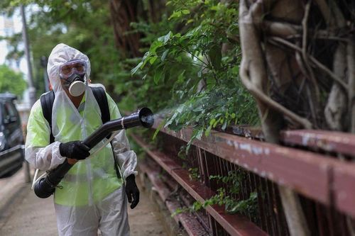 TP.HCM công bố kế hoạch phòng bệnh Chikungunya