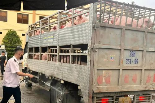 Hà Nội tăng cường phối hợp kiểm soát dịch bệnh gia súc, gia cầm