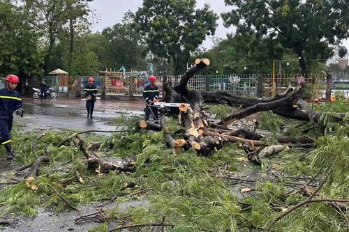 Tai nạn giao thông mới nhất 15/8/2025: cây xanh bật gốc đè trúng cặp vợ chồng đi xe máy
