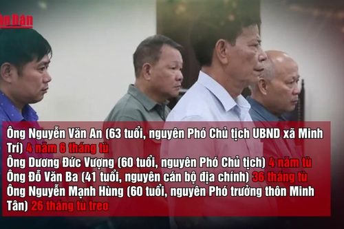 Nhóm cựu cán bộ xã lĩnh án vì ký khống 114 hồ sơ đất rừng phòng hộ
