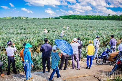 Khai thác tiềm năng du lịch sinh thái