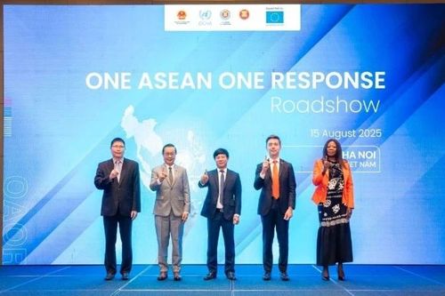 Việt Nam tích cực tham gia cơ chế 'một ASEAN, một ứng phó'