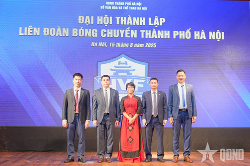 Bà Trần Thùy Chi làm Chủ tịch Liên đoàn Bóng chuyền TP Hà Nội