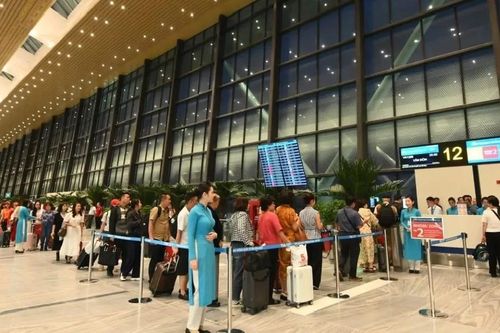 Cần xem kinh tế hàng không là động lực mới cho TPHCM 'cất cánh'