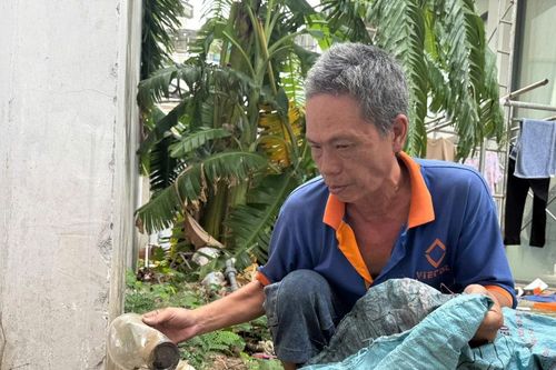 TPHCM phòng chống dịch Chikungunya, phát động chiến dịch diệt lăng quăng