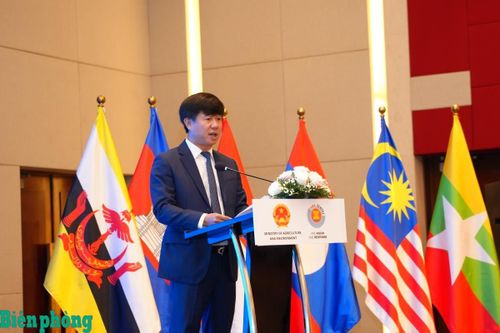 ASEAN tăng cường các cơ chế hợp tác quản lý rủi ro thiên tai