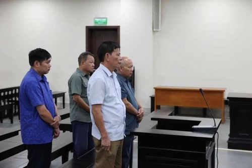 Tòa kiến nghị xử lý vi phạm xây dựng, khôi phục nguyên trạng đất rừng phòng hộ ở Sóc Sơn