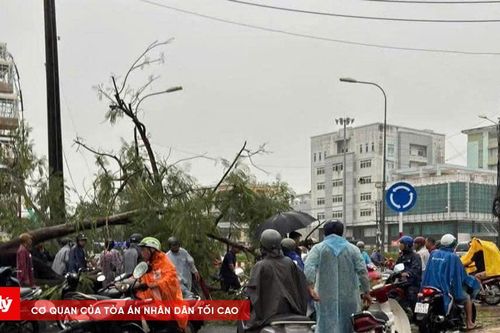 Cây xanh bật gốc khiến 2 người đi đường bị thương
