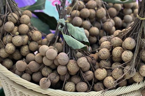 Nhãn rất bổ dưỡng, ăn bao nhiêu là đủ
