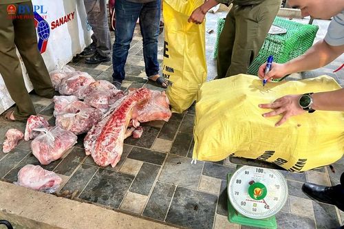 VKSND tỉnh Thanh Hóa phê chuẩn khởi tố các đối tượng tiêu thụ thịt lợn nhiễm bệnh dịch tả lợn Châu Phi