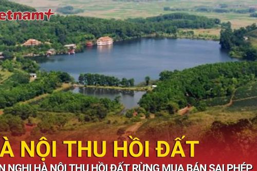 Hà Nội xử vụ sai phạm đất rừng phòng hộ, đề nghị thu hồi diện tích vi phạm