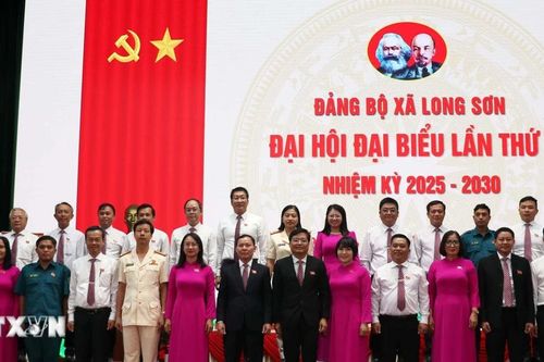 TP Hồ Chí Minh: Xã Long Sơn phát triển đô thị 'Làng trong phố, phố trong làng'