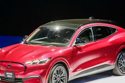 Ra mắt hai mẫu xe thuần điện đầu tiên của Ford tại Việt Nam