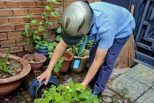 TP Hồ Chí Minh đồng loạt triển khai biện pháp phòng, chống bệnh Chikungunya