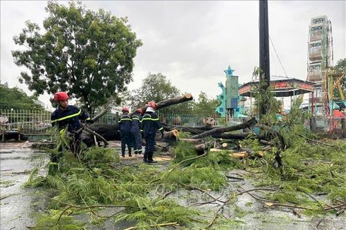 Cà Mau: Cây xanh bật gốc khiến hai người bị thương