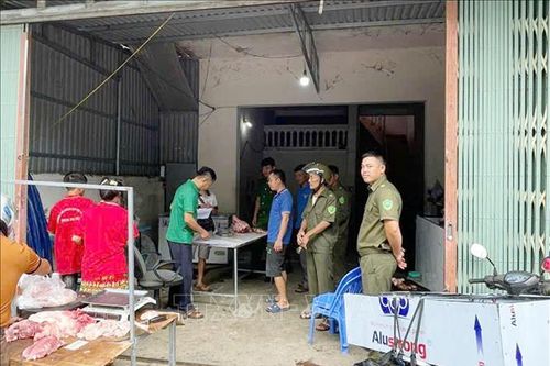 Siết chặt kiểm soát giết mổ, xử lý dứt điểm ổ dịch tả lợn châu Phi