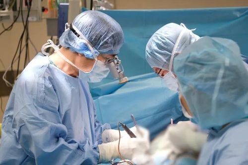 Chuyên gia Việt Nam và Singapore cùng phối hợp cứu ca bệnh khó