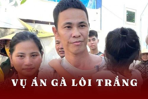 Vụ nuôi gà lôi trắng bị phạt 6 năm tù: Ông Thái Khắc Thành kháng cáo