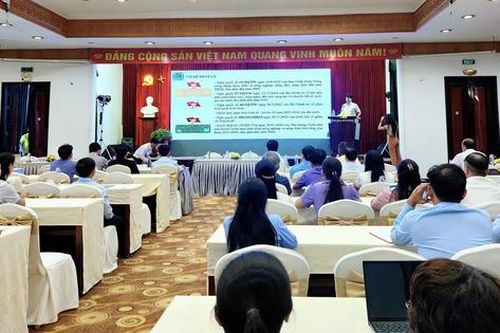Bàn giải pháp nâng cao tiêu chí môi trường nông thôn mới tại TP Huế