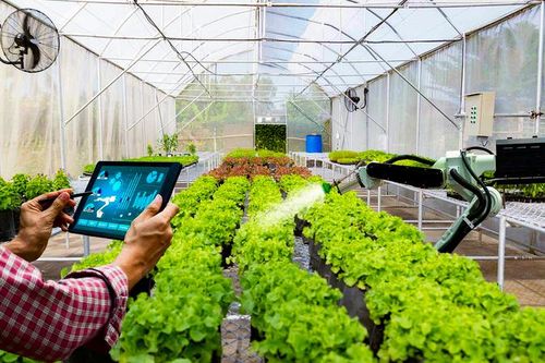 Bước ra biển lớn: Làn sóng đầu tư mới của doanh nghiệp Việt