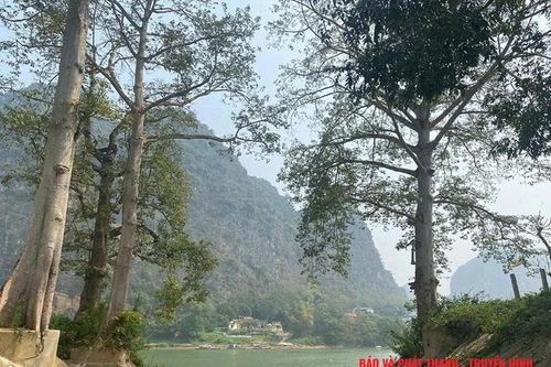 Trên đất Cẩm Phong