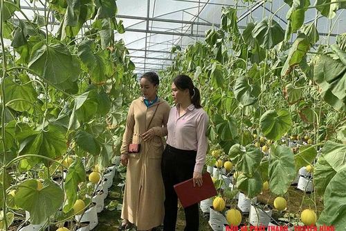 Đẩy mạnh các phong trào thi đua trong hoạt động tín dụng chính sách