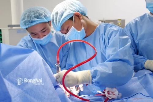 Khắp nơi trong tỉnh sáng 15-8-2025