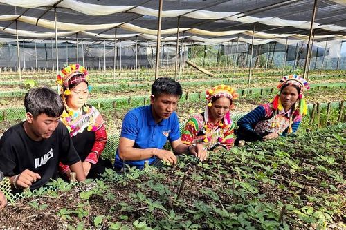 Người 'truyền lửa' trên đỉnh Pu Si Lung