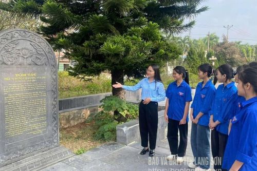 Tiếp bước Lương Văn Tri