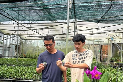 Nhóm Hoa lan vui vẻ Lâm Đồng: Mô hình khởi nghiệp của bạn trẻ