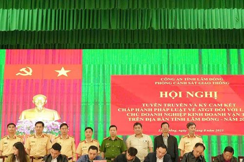 Lái xe và doanh nghiệp vận tải Lâm Đồng đồng hành kéo giảm tai nạn giao thông