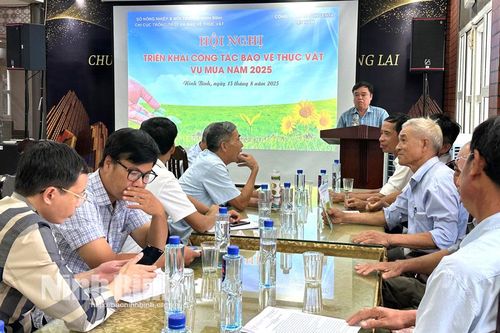 Triển khai công tác bảo vệ thực vật vụ mùa 2025