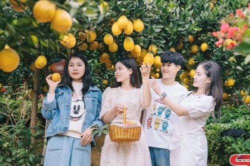 Phát triển nông nghiệp gắn với du lịch trải nghiệm