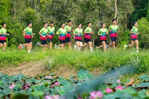 Giải Marathon Đất Sen Hồng năm 2025 - Lan tỏa thịnh vượng và nâng tầm du lịch miền Tây Nam Bộ