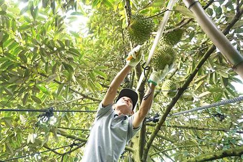 Từ cồn đất trù phú đến điểm sáng nông thôn mới ở Đồng Tháp