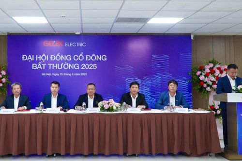 ĐHĐCĐ Gelex Electric: Tăng gấp đôi kế hoạch lợi nhuận, nâng cổ tức lên 60%