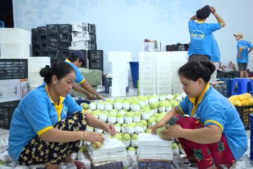 Nâng cao năng lực cạnh tranh, mở rộng thị trường xuất khẩu