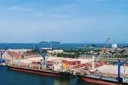 Cổ phiếu NAP quay đầu giảm mạnh, Cảng Nghệ Tĩnh báo lãi kỷ lục nhờ 'ghi nhận' các khoản thu ngoài kinh doanh