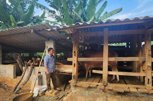Hội viên nông dân hiến hơn 399.540 m² đất xây dựng nông thôn mới